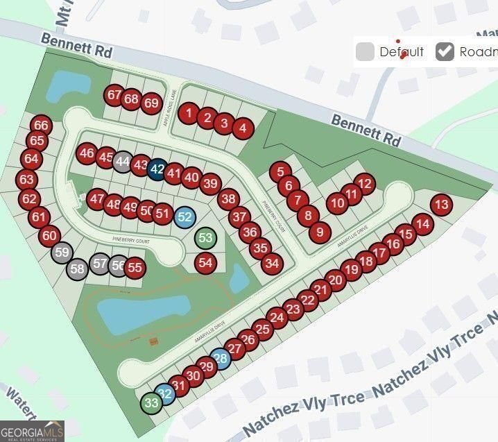 811 Pineberry Court Grayson - 62