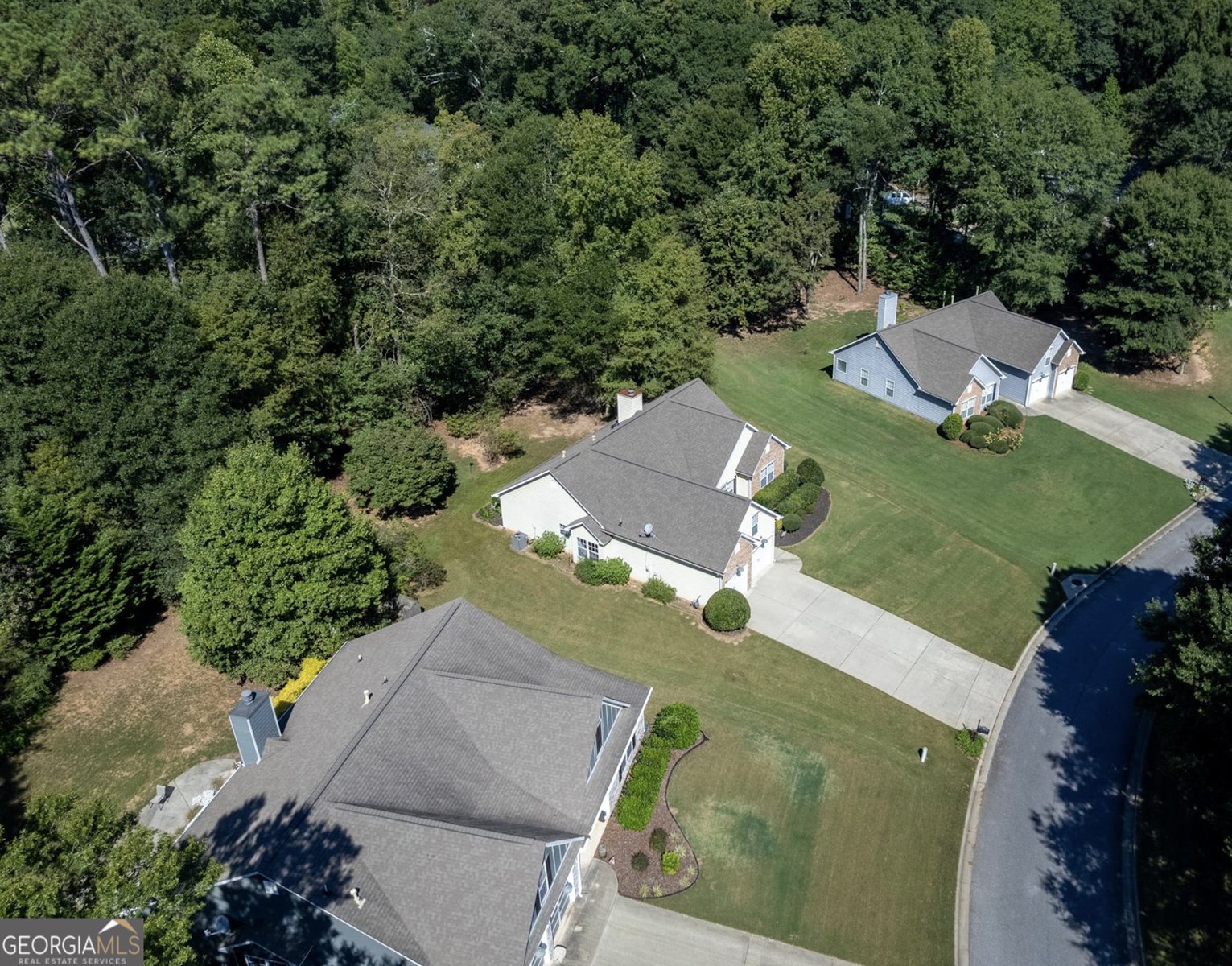 272 Blackberry Lane Pendergrass - 4