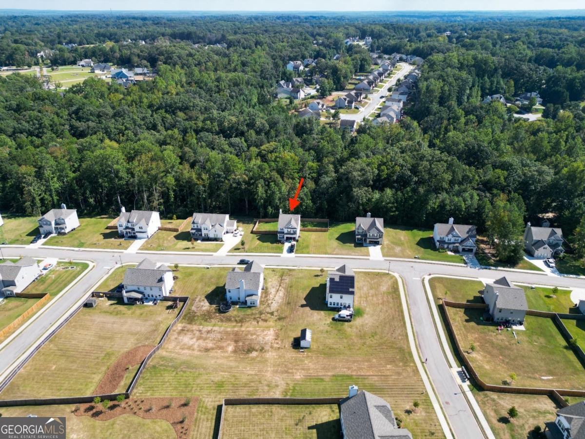 250 Laurel Cove Drive Hoschton - 37