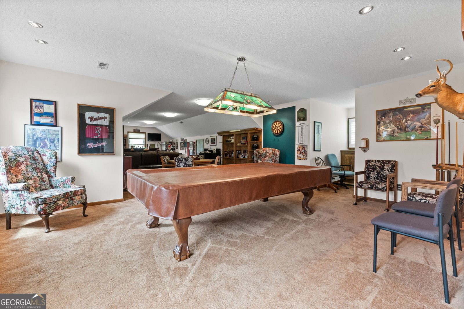 145 Asa Mosley Road McDonough - 28