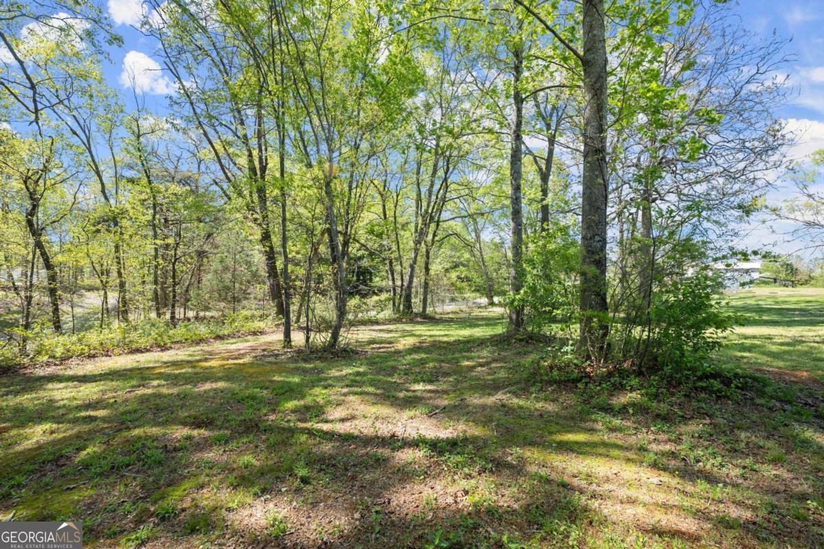1982 Moccasin Gap Road Lula - 4