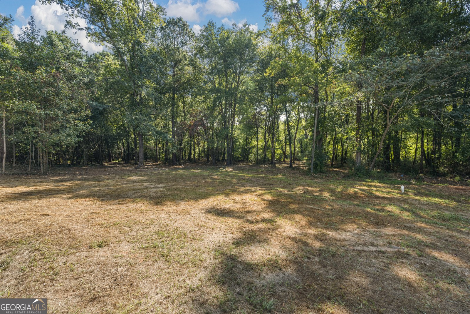 36 H St, Hamilton - 41