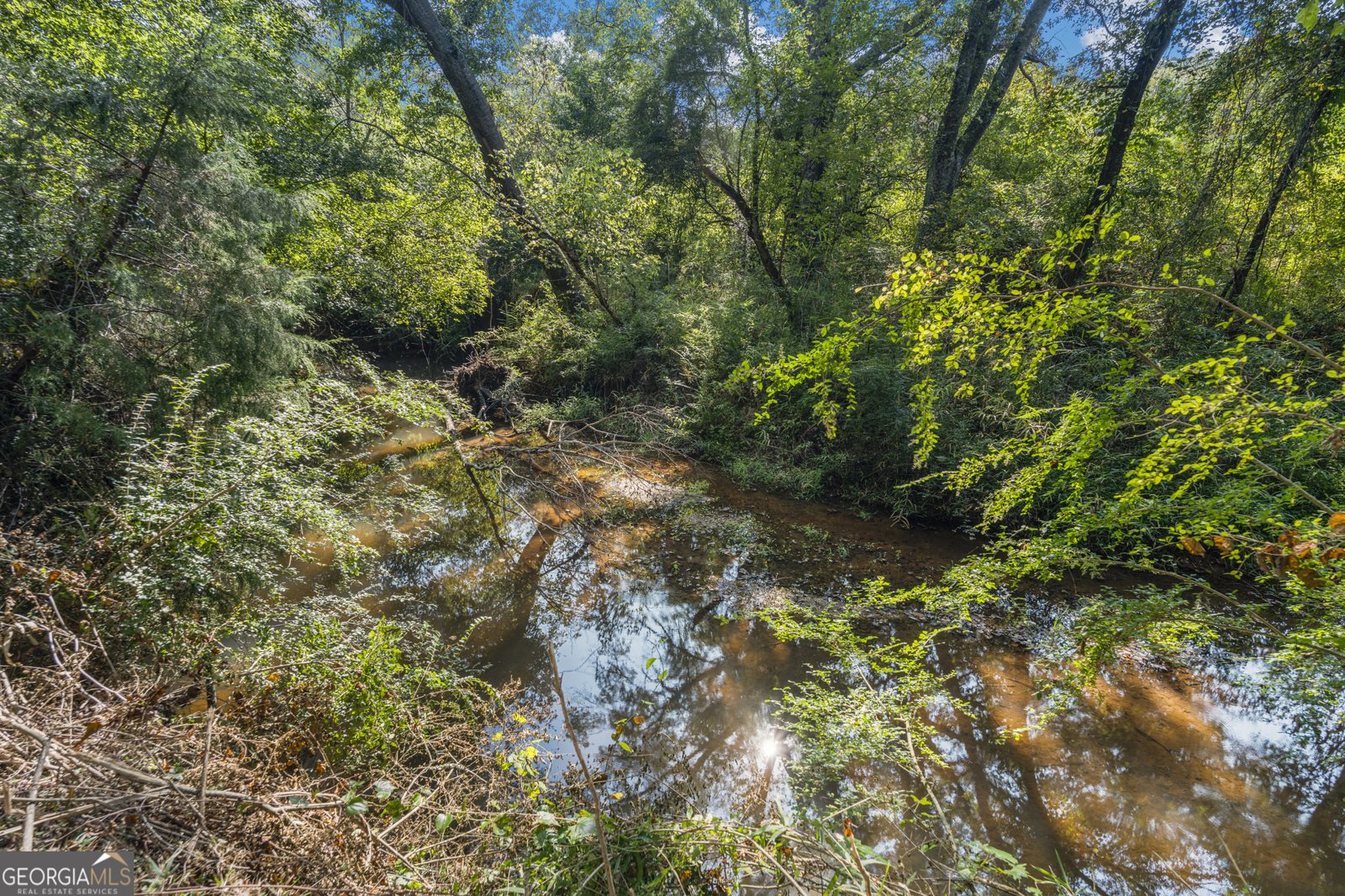 36 H St, Hamilton - 42