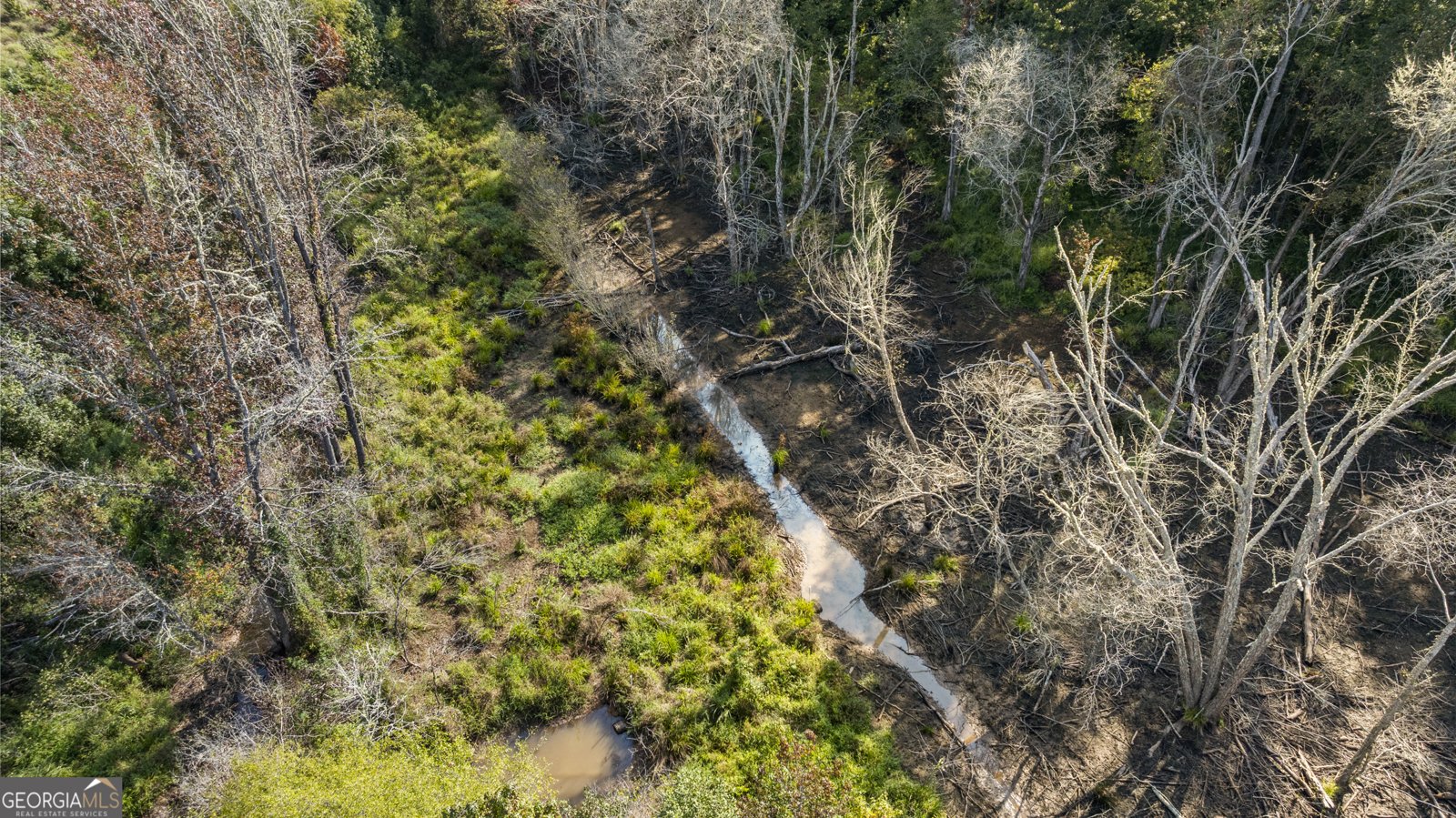 36 H St, Hamilton - 45