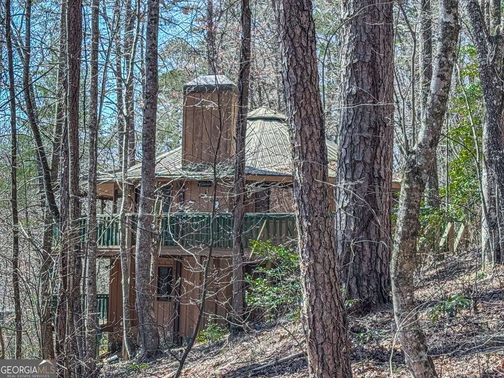 230 Tanglewood Drive Blue Ridge - 9
