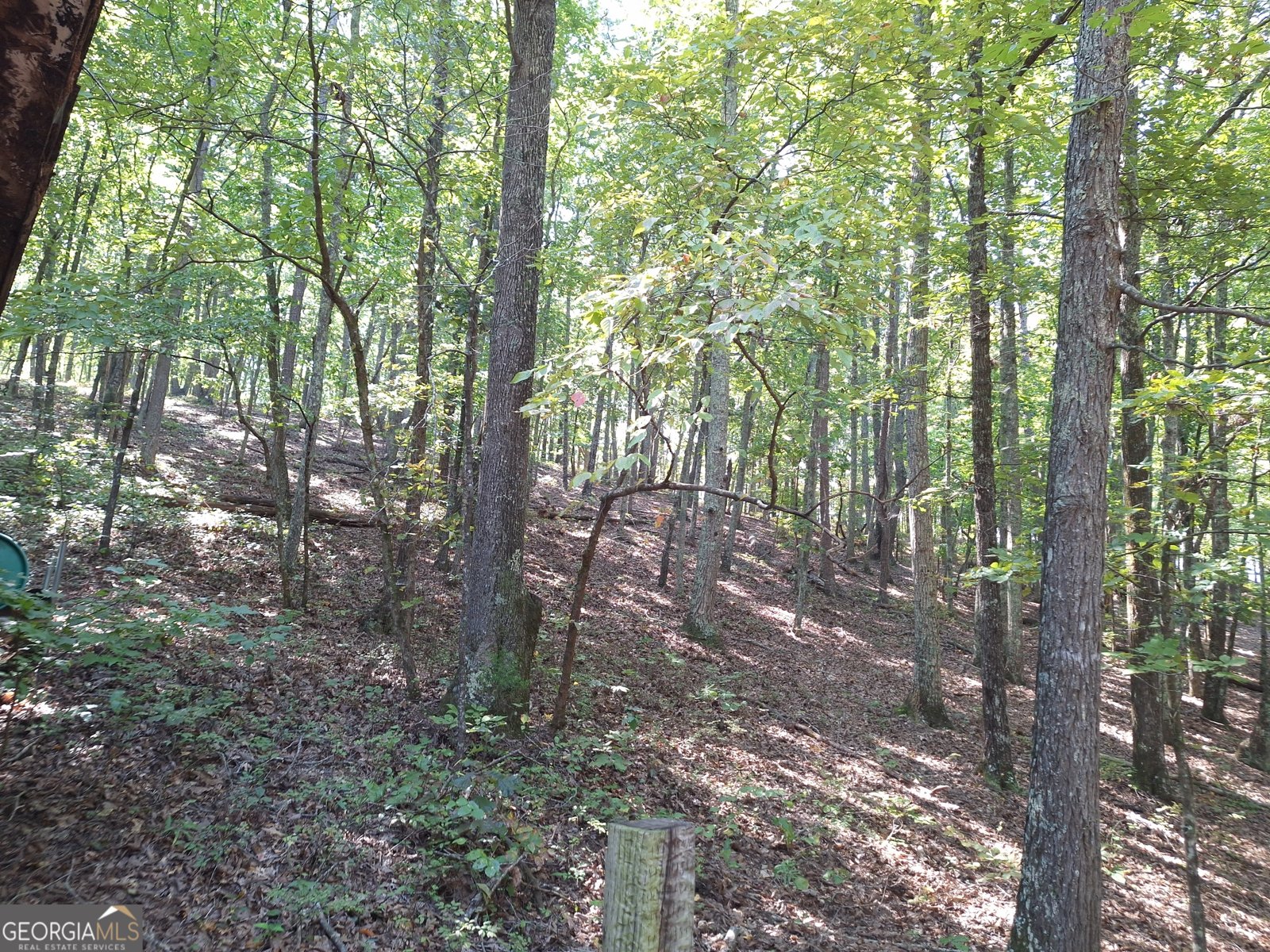 1168 Campbell Road Cedartown - 11