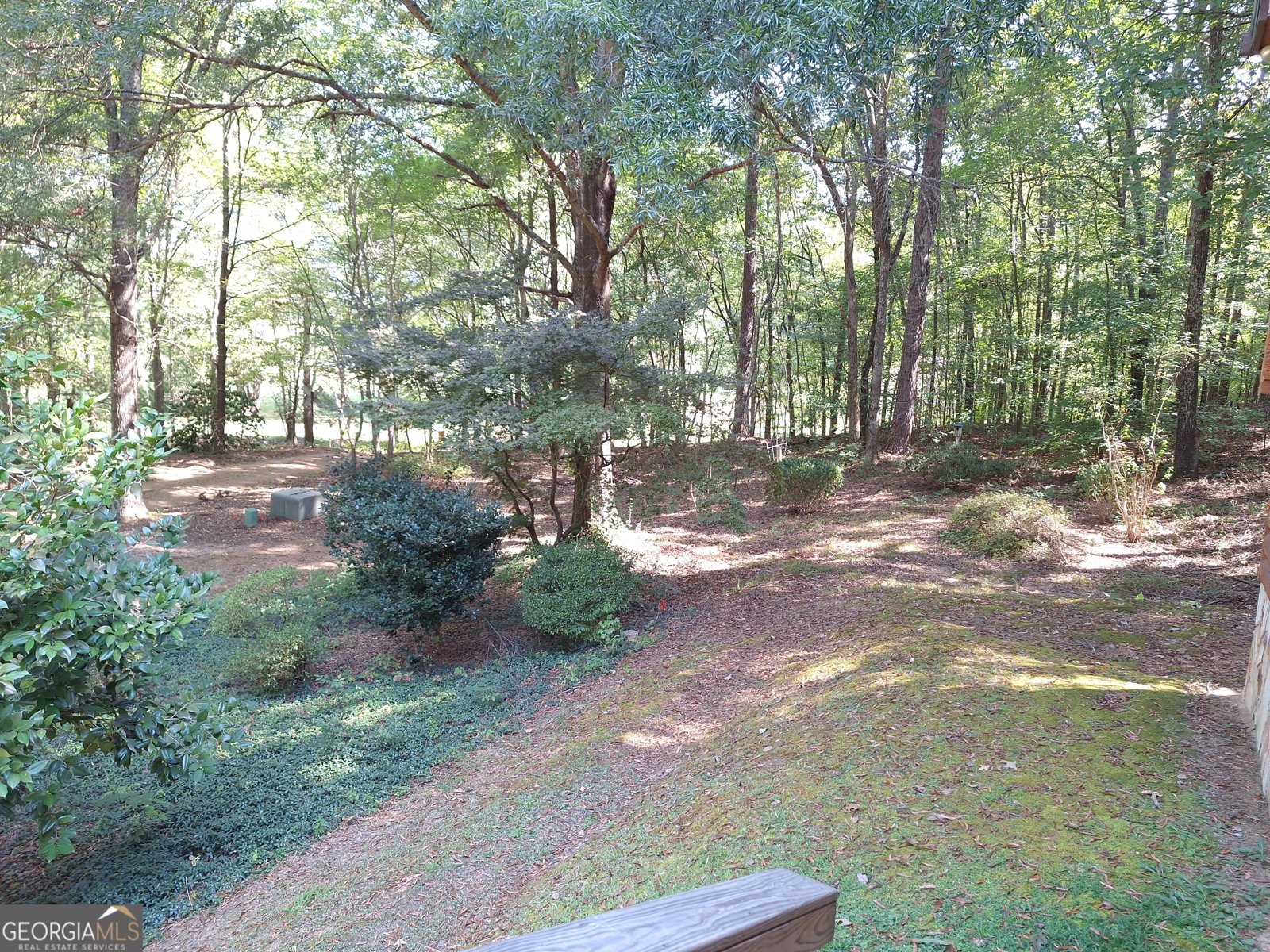 1168 Campbell Road Cedartown - 4