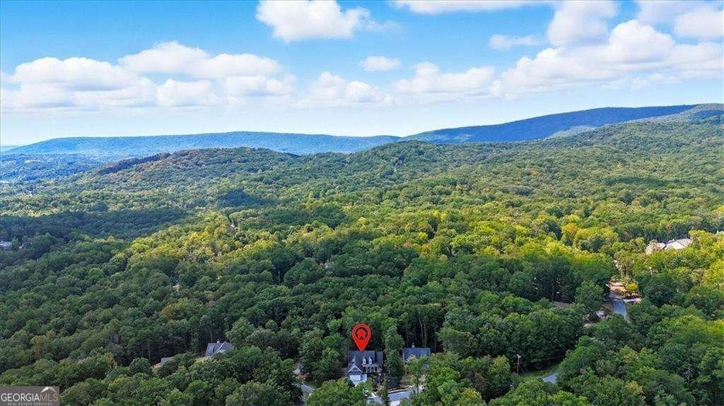 102 Eagle Heart Court Waleska - 46