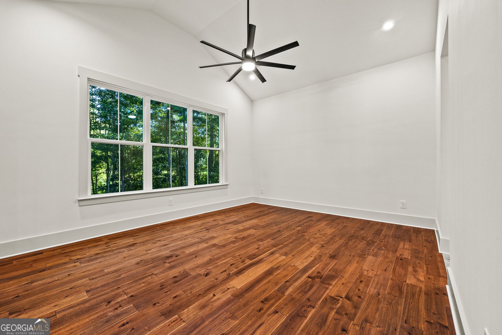 110 Farr Lake Drive Tyrone - 18