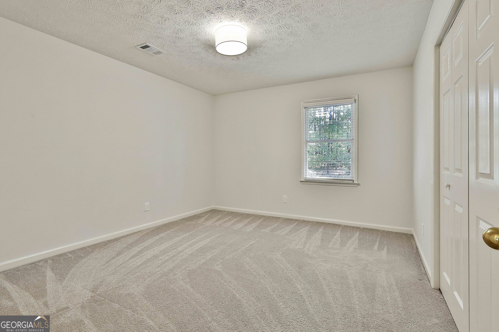 100 Endicott Ridge Peachtree City - 24