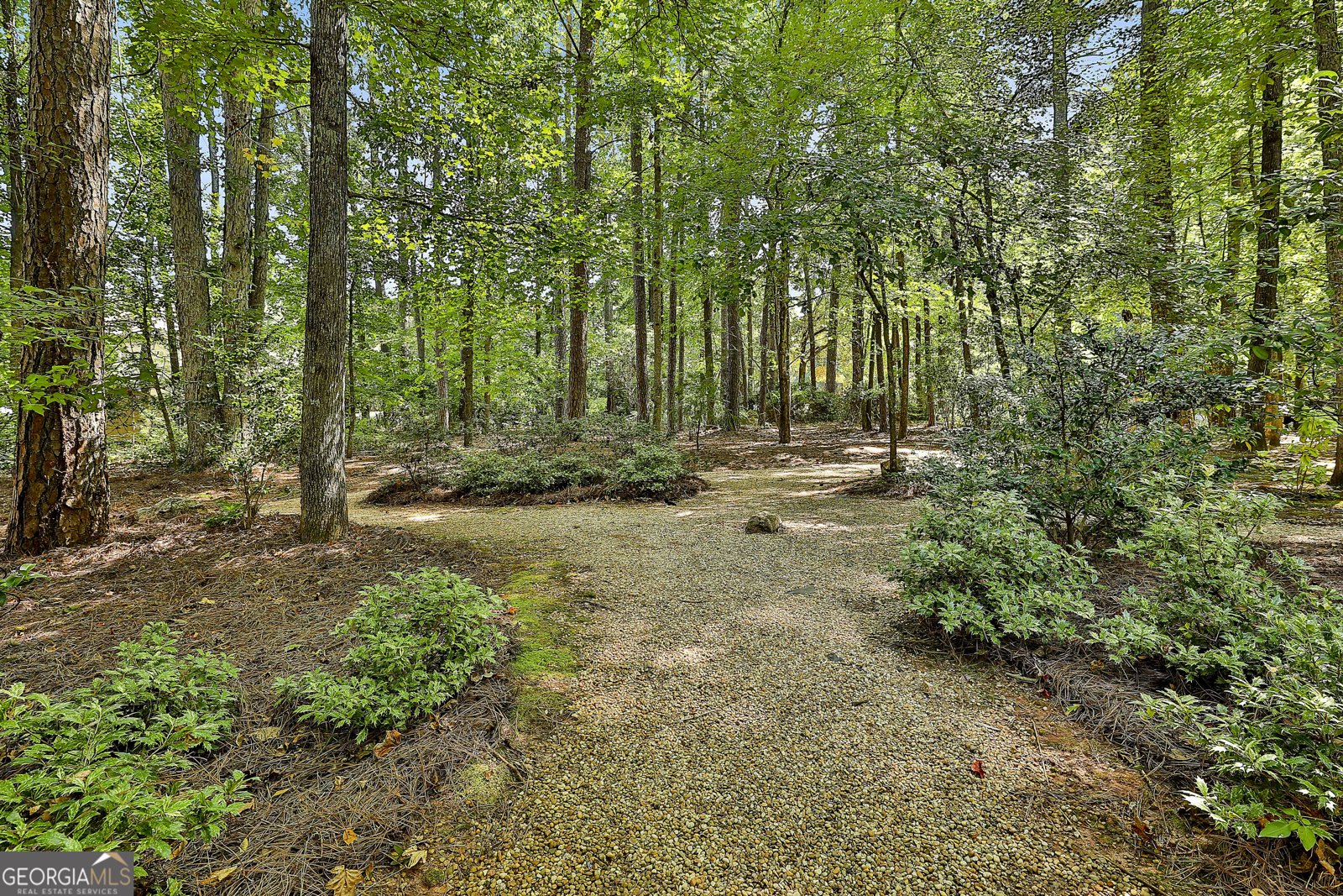 100 Endicott Ridge Peachtree City - 62