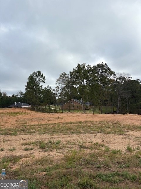 5372 Tuscany Drive Douglasville - 1