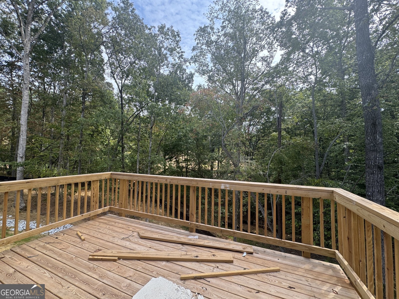 5391 Tuscany Drive Douglasville - 12