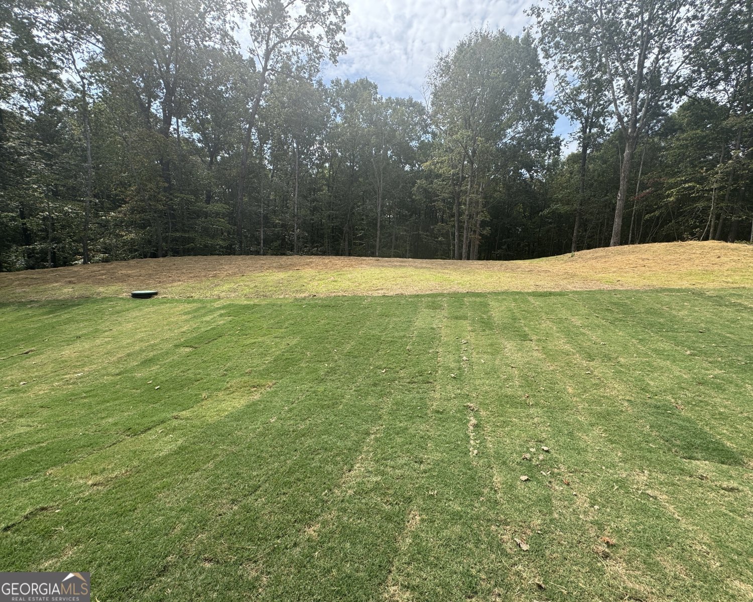 5391 Tuscany Drive Douglasville - 4