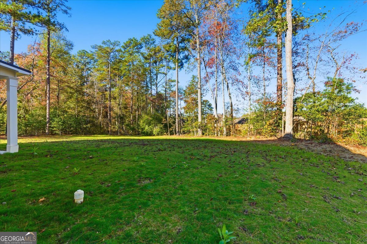 7762 Capps Ridge Lane Douglasville - 51