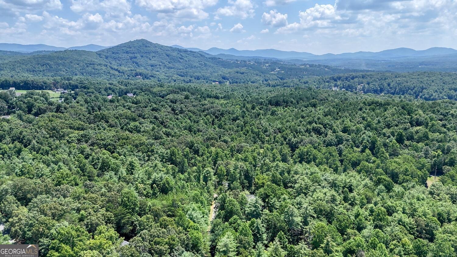 94 Kingfisher Lane Blairsville - 4