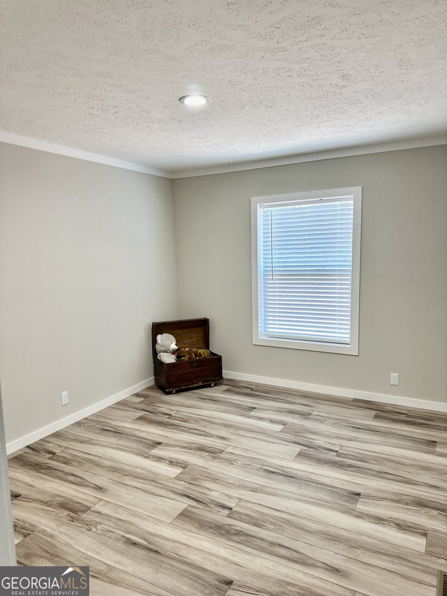 1052 Cannon Bridge Road Demorest - 16
