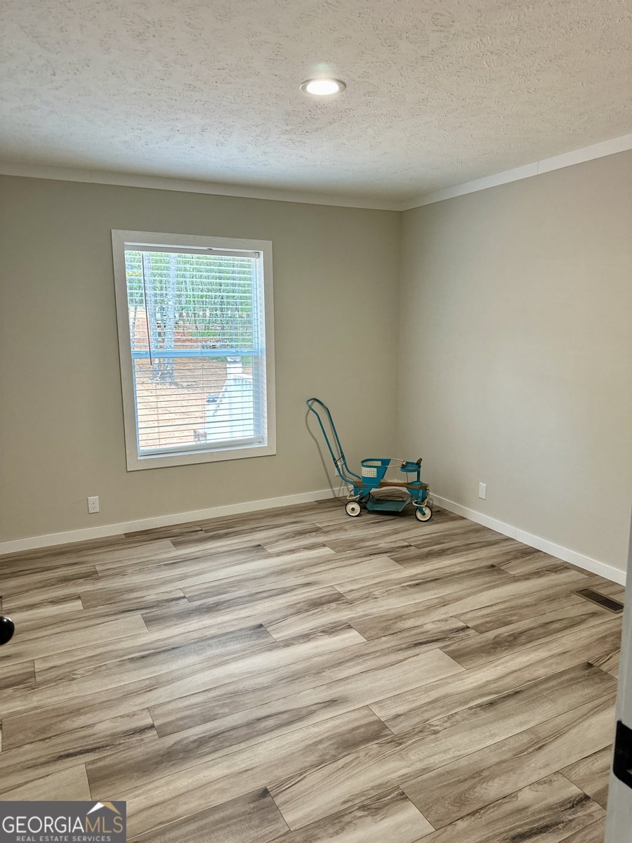 1052 Cannon Bridge Road Demorest - 19