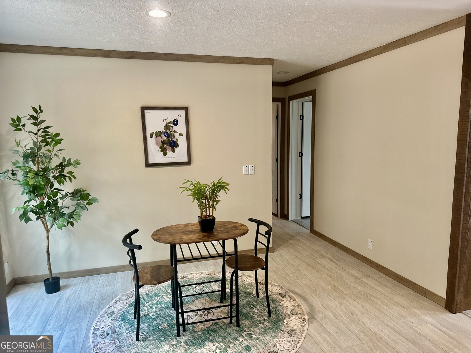 1058 Cannon Bridge Road Demorest - 9