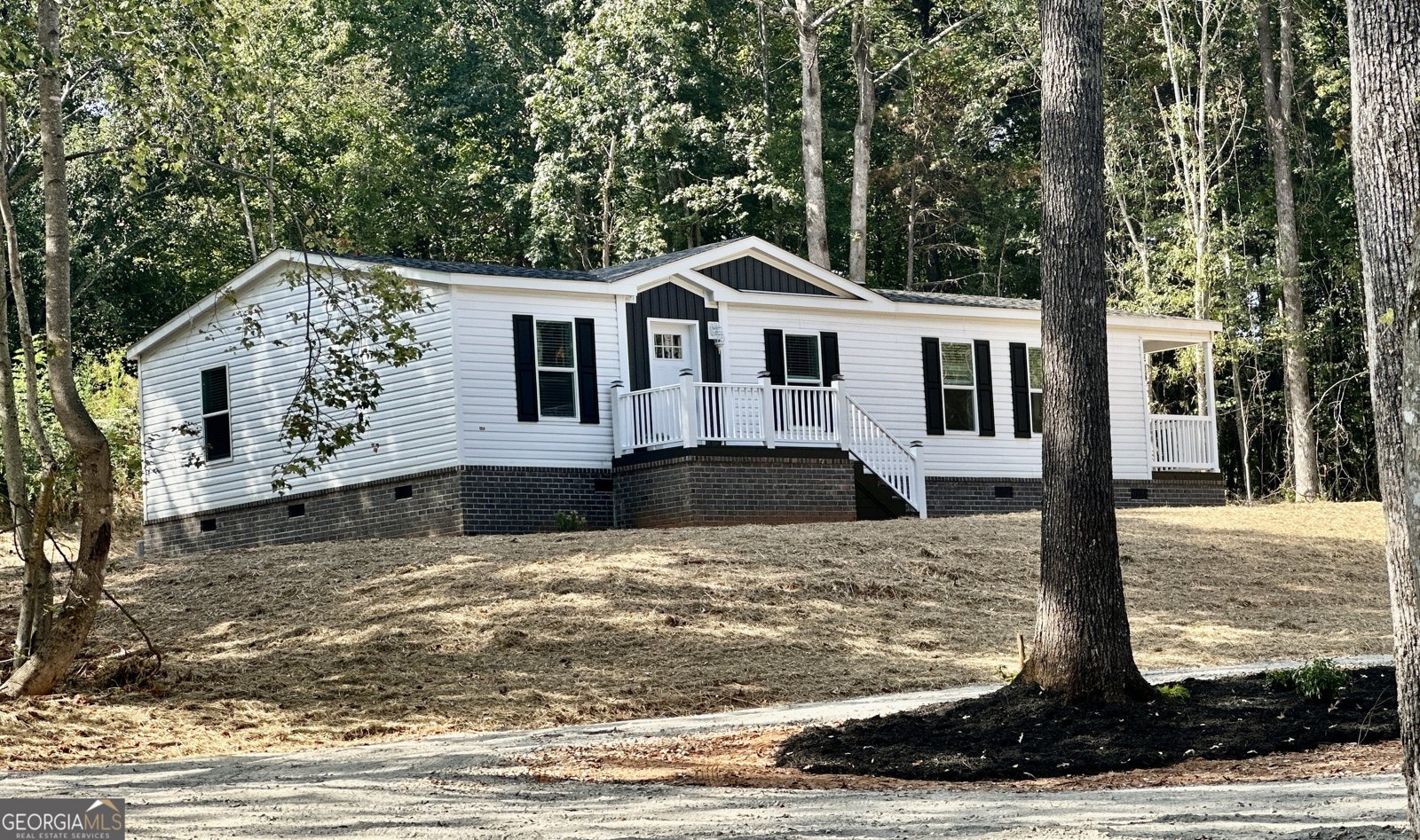 1046 Cannon Bridge Road Demorest - 4