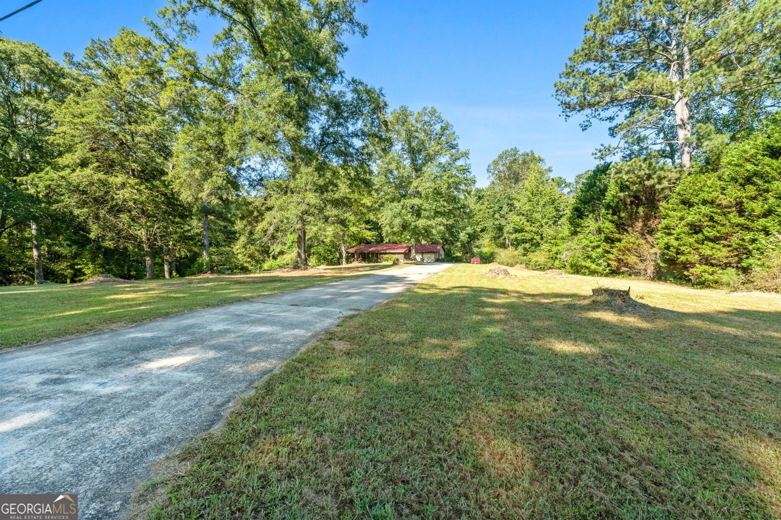 999 Linch Road Senoia - 1