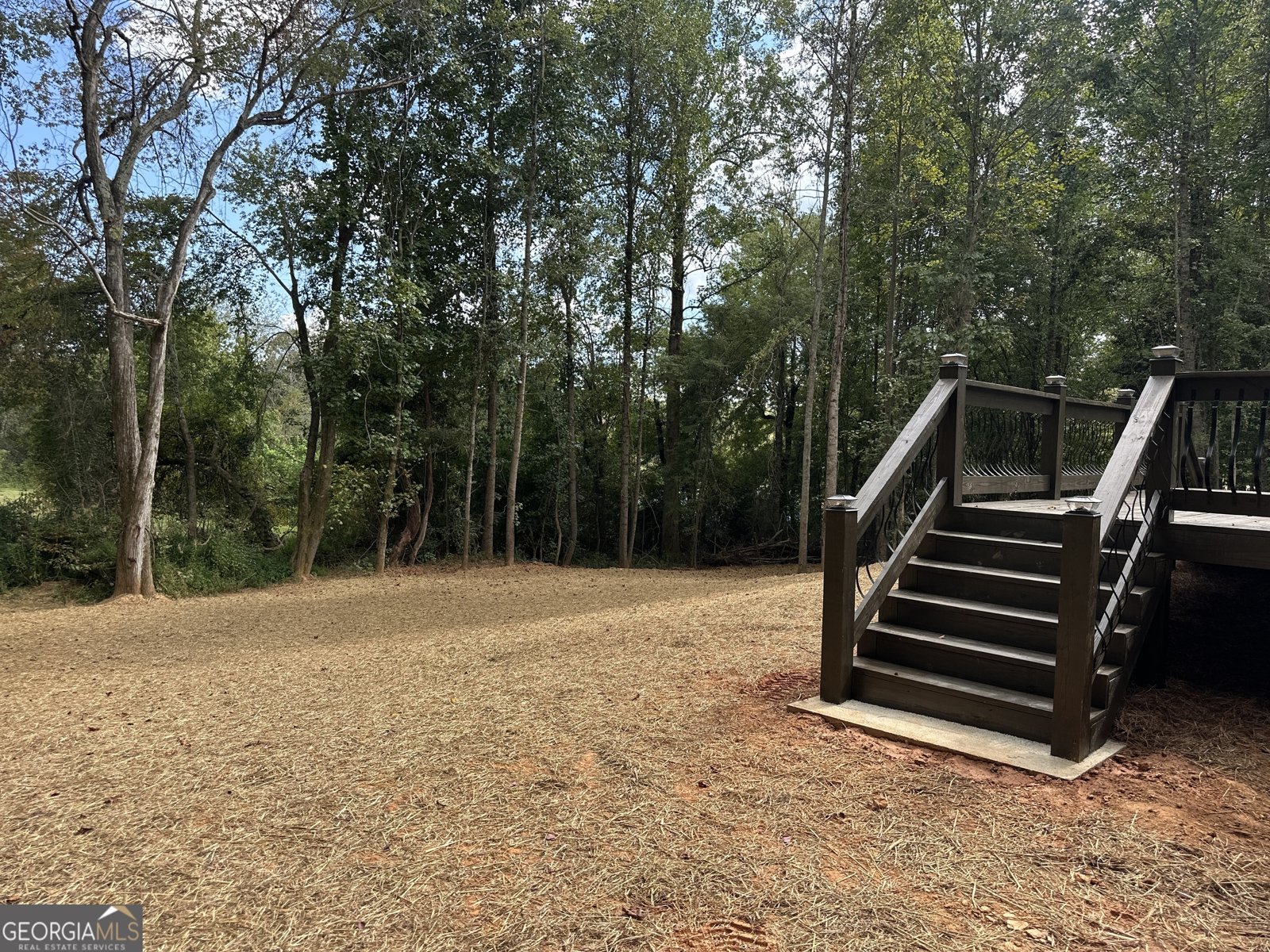 1040 Cannon Bridge Road Demorest - 9