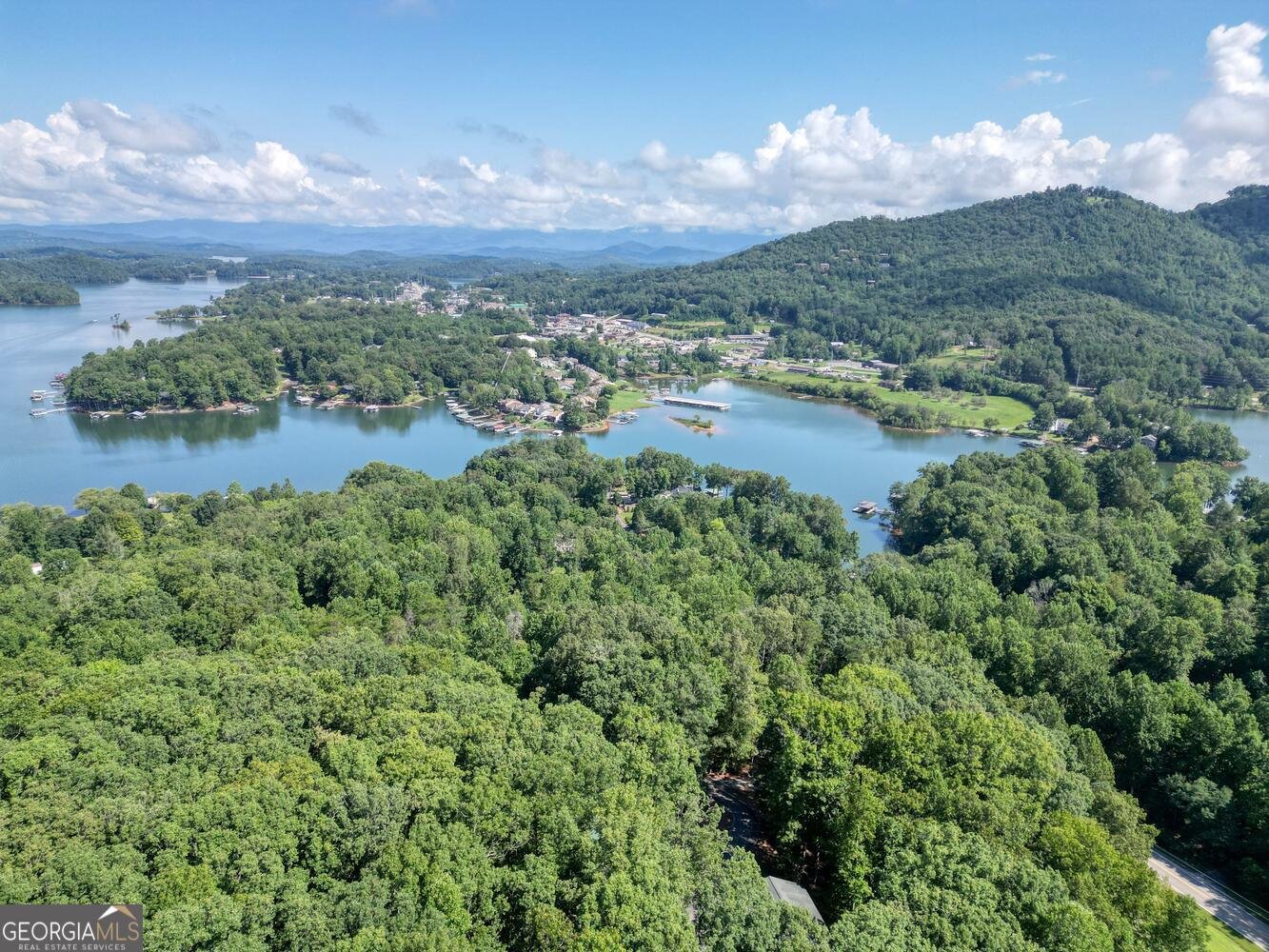 1181 Sunnyside Road Hiawassee - 46