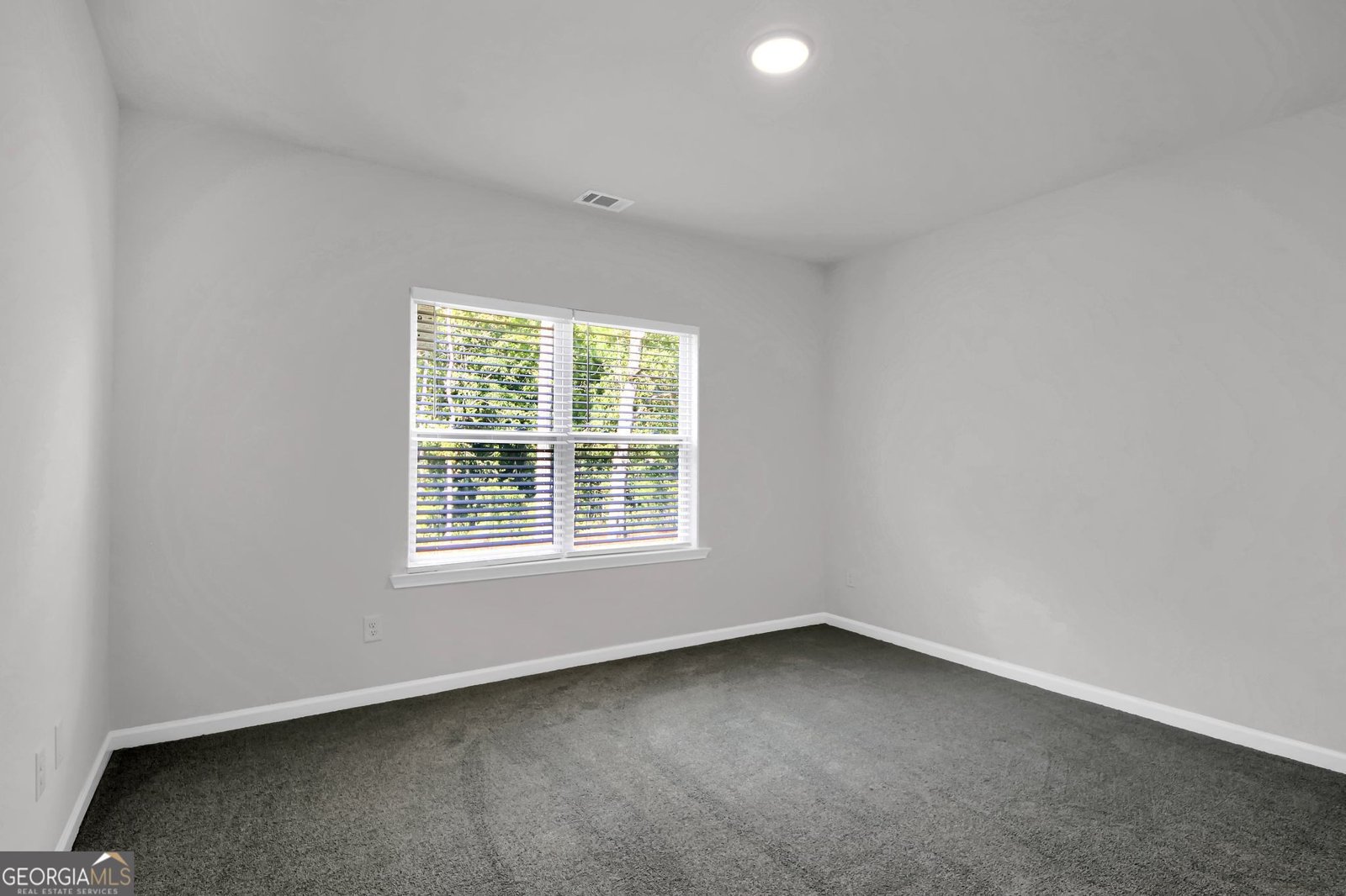 152 Fishers Mill Drive Mcdonough - 19