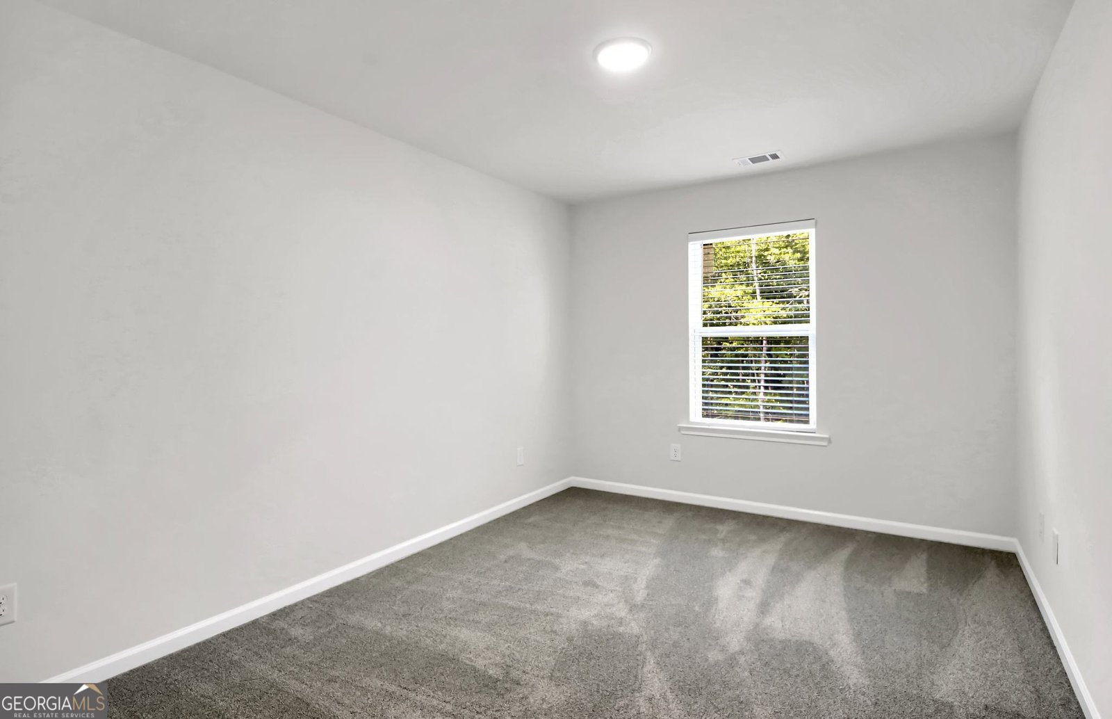 152 Fishers Mill Drive Mcdonough - 25