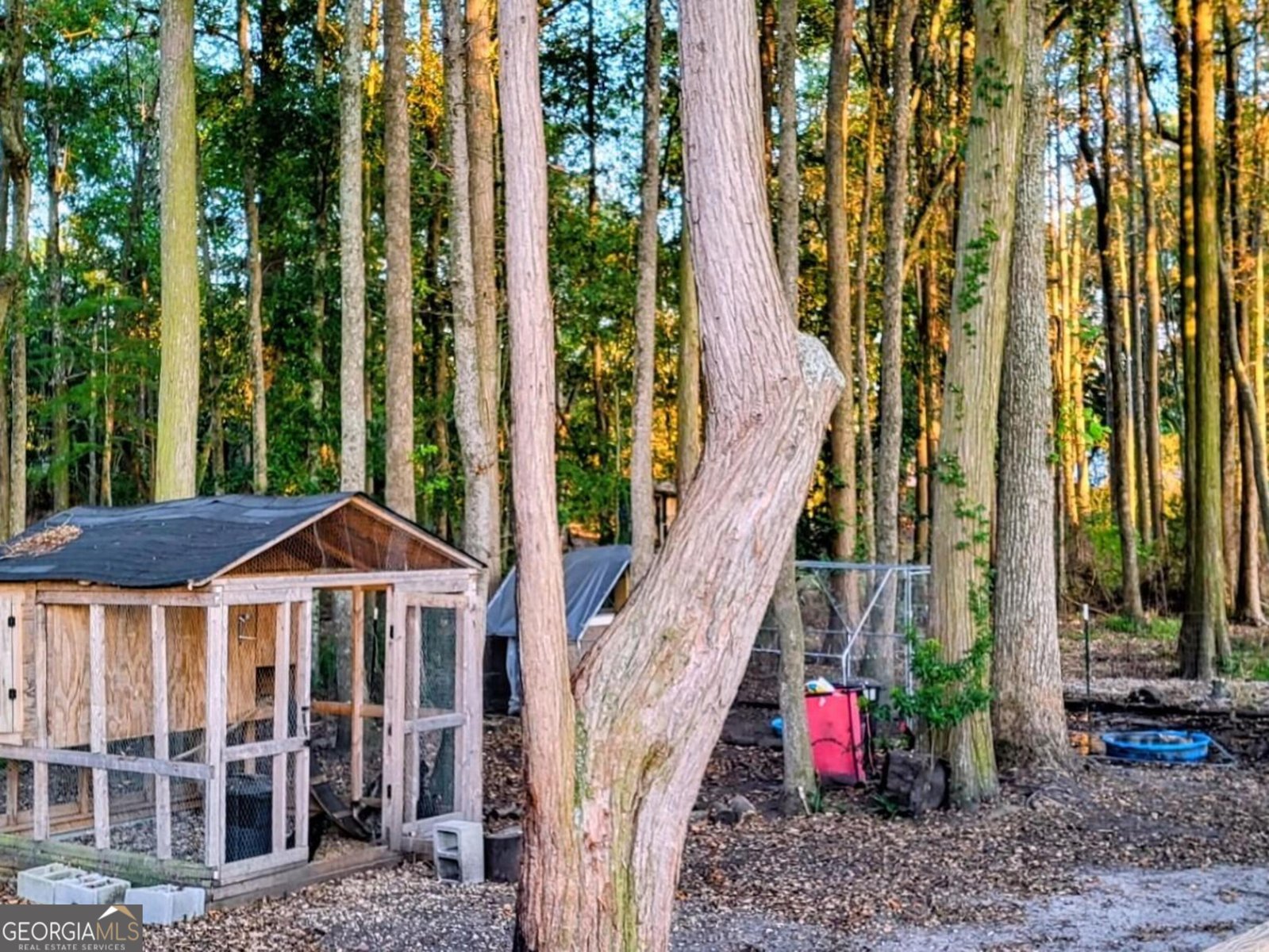 273 Vanceville County Line Road Tifton - 16
