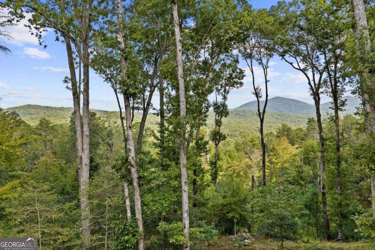 306 Native Trail Blue Ridge - 12
