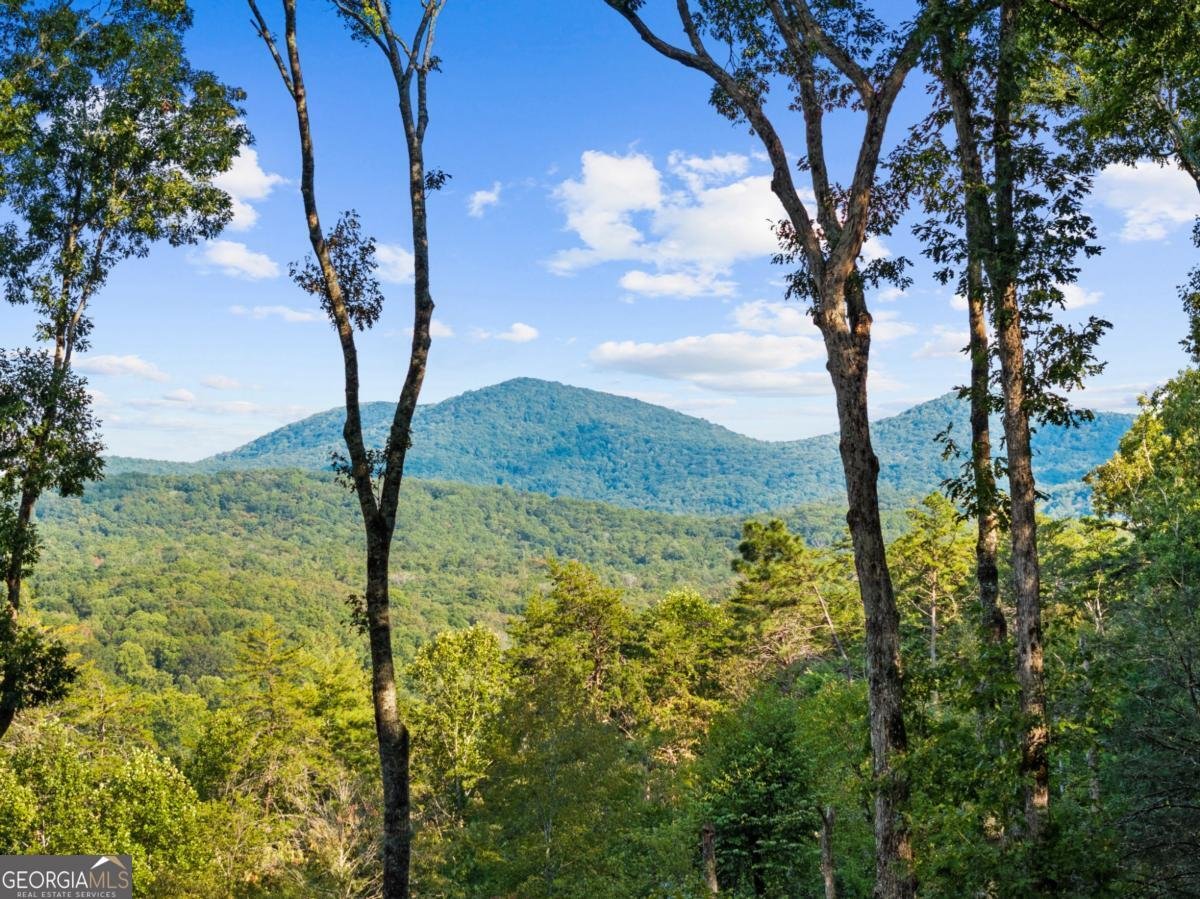 306 Native Trail Blue Ridge - 24
