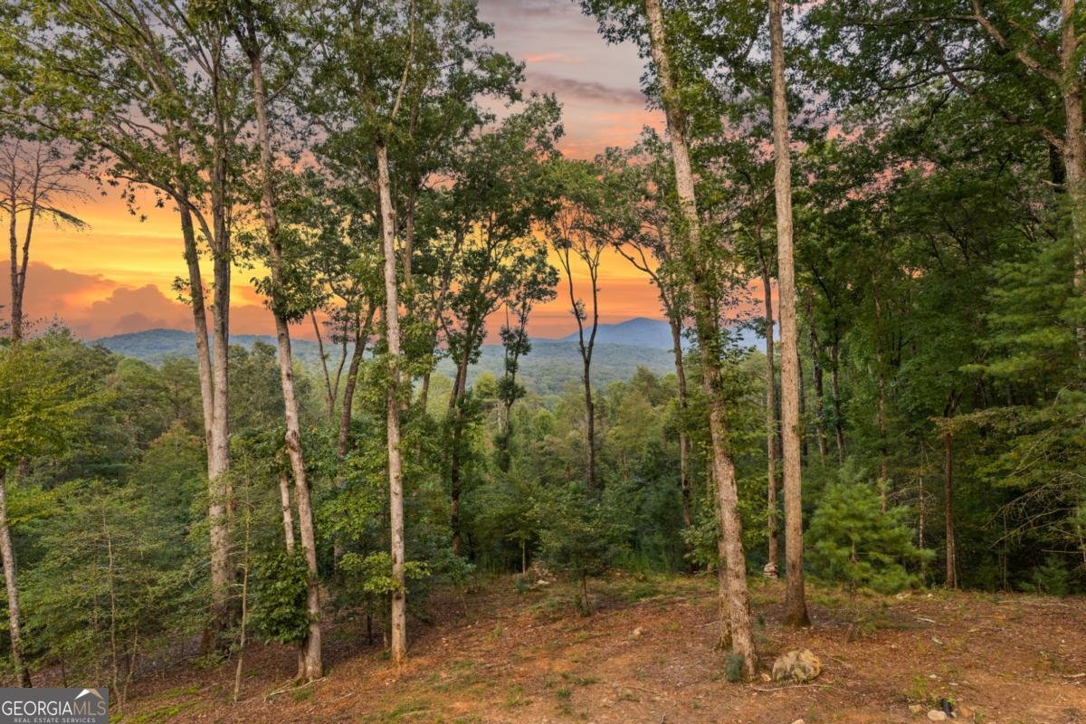 306 Native Trail Blue Ridge - 59