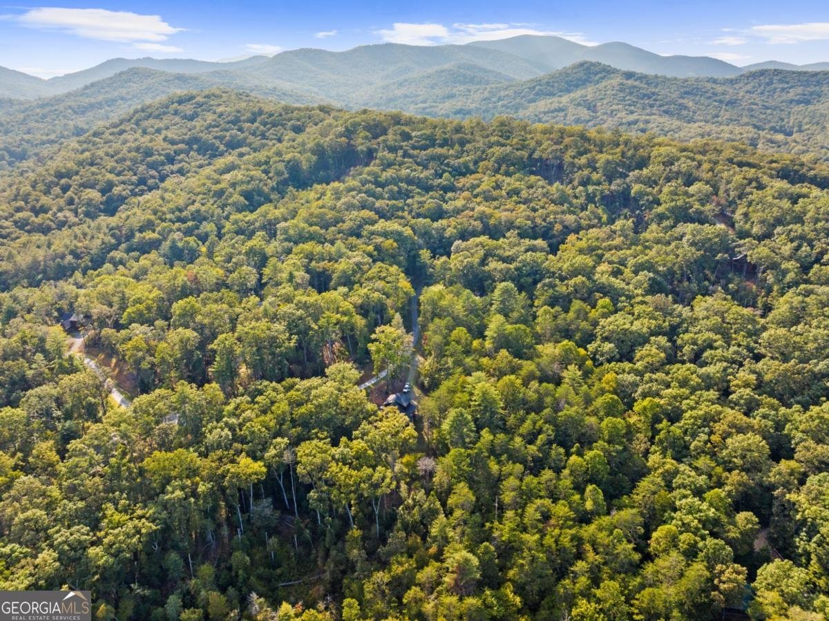306 Native Trail Blue Ridge - 6