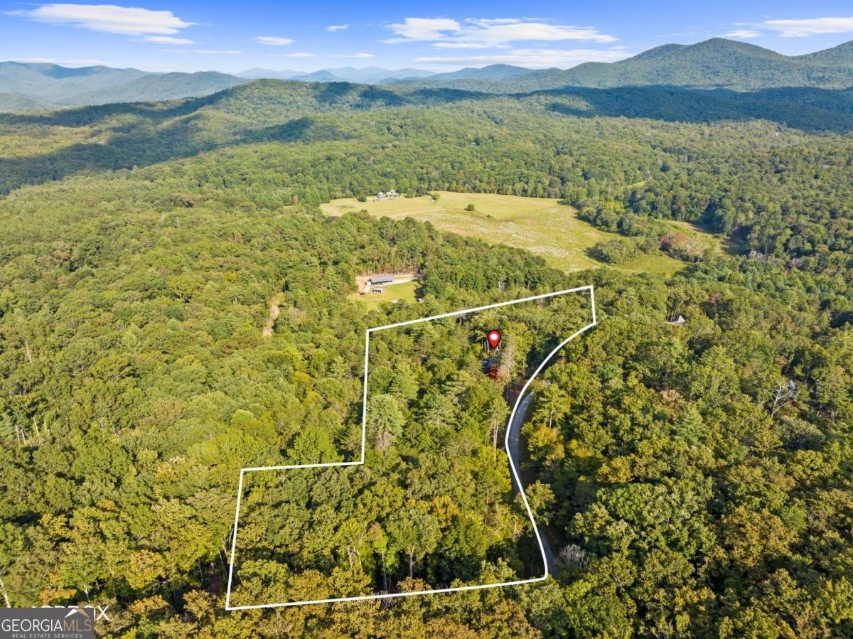 306 Native Trail Blue Ridge - 62