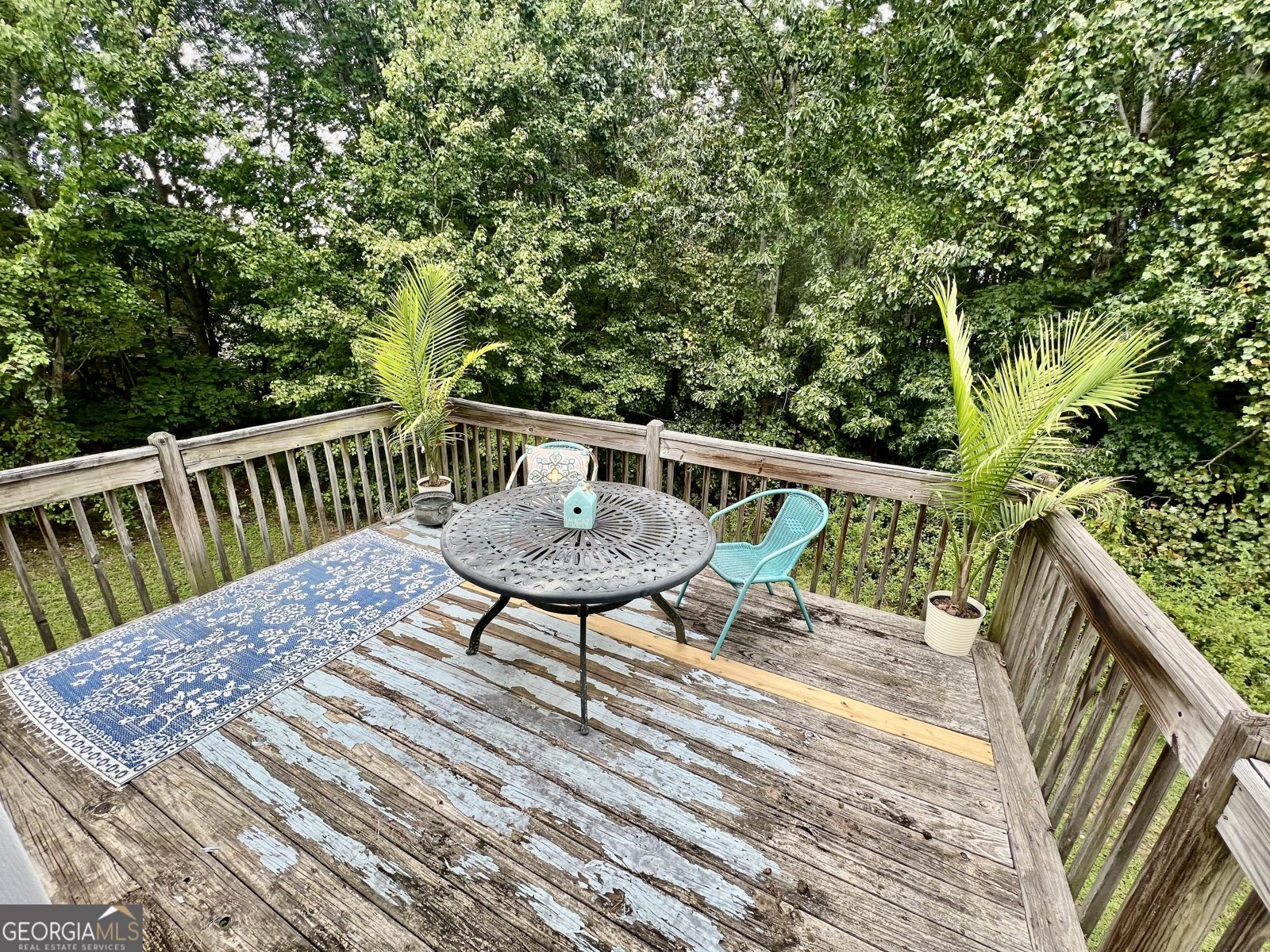 113 Nelson Ridge Drive Ball Ground - 28