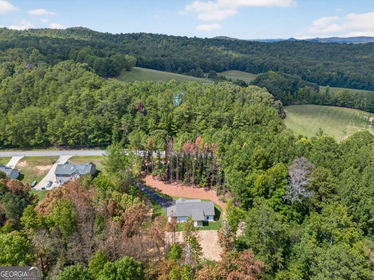560 Coots Lake Road Rockmart - 32
