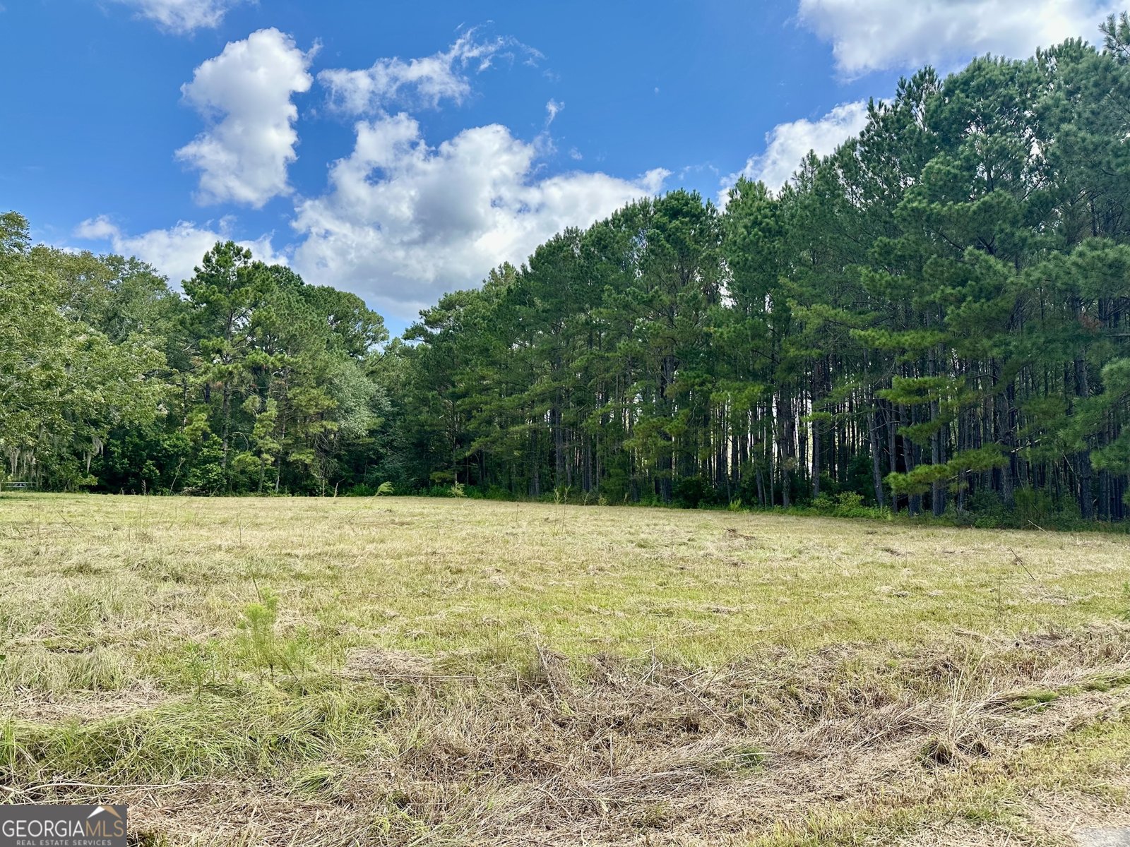 3360 Strickland Avenue Extension Blackshear - 3