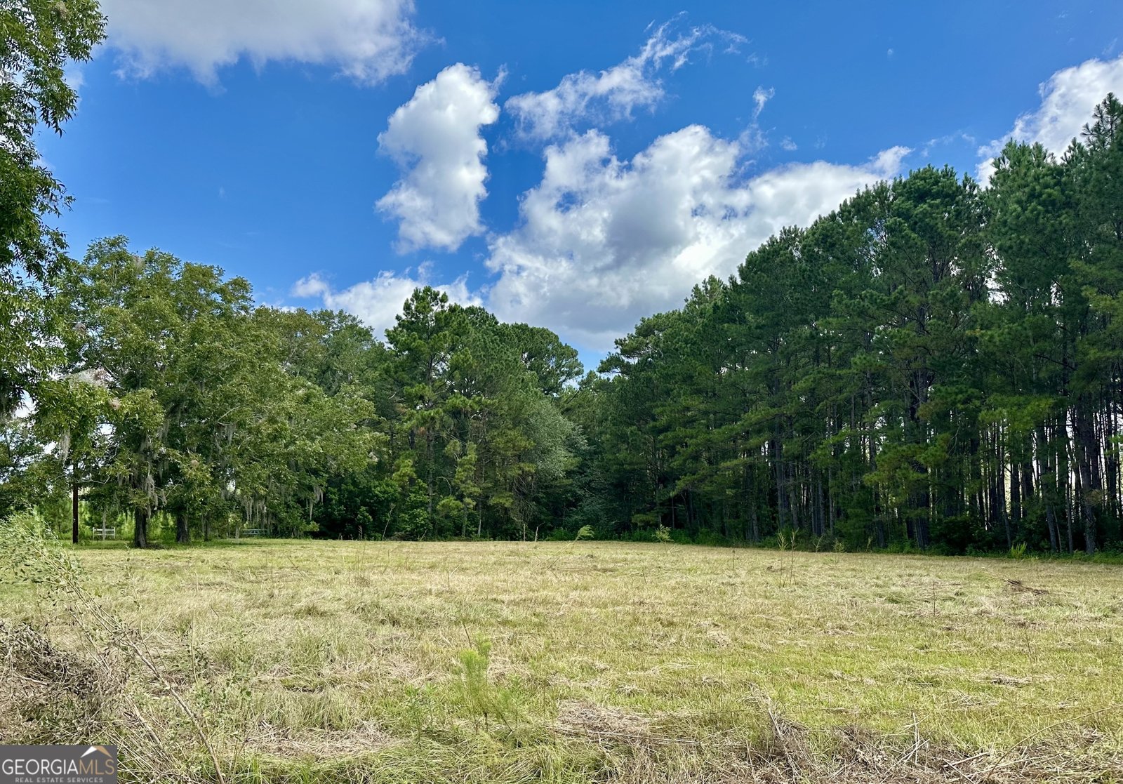 3360 Strickland Avenue Extension Blackshear - 4