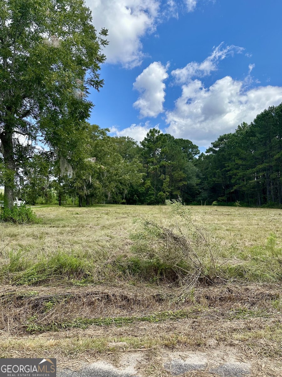 3360 Strickland Avenue Extension Blackshear - 5