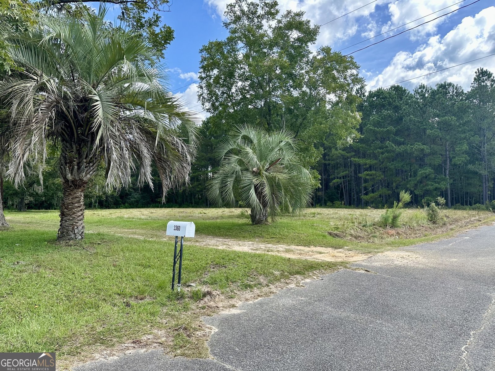 3360 Strickland Avenue Extension Blackshear - 6