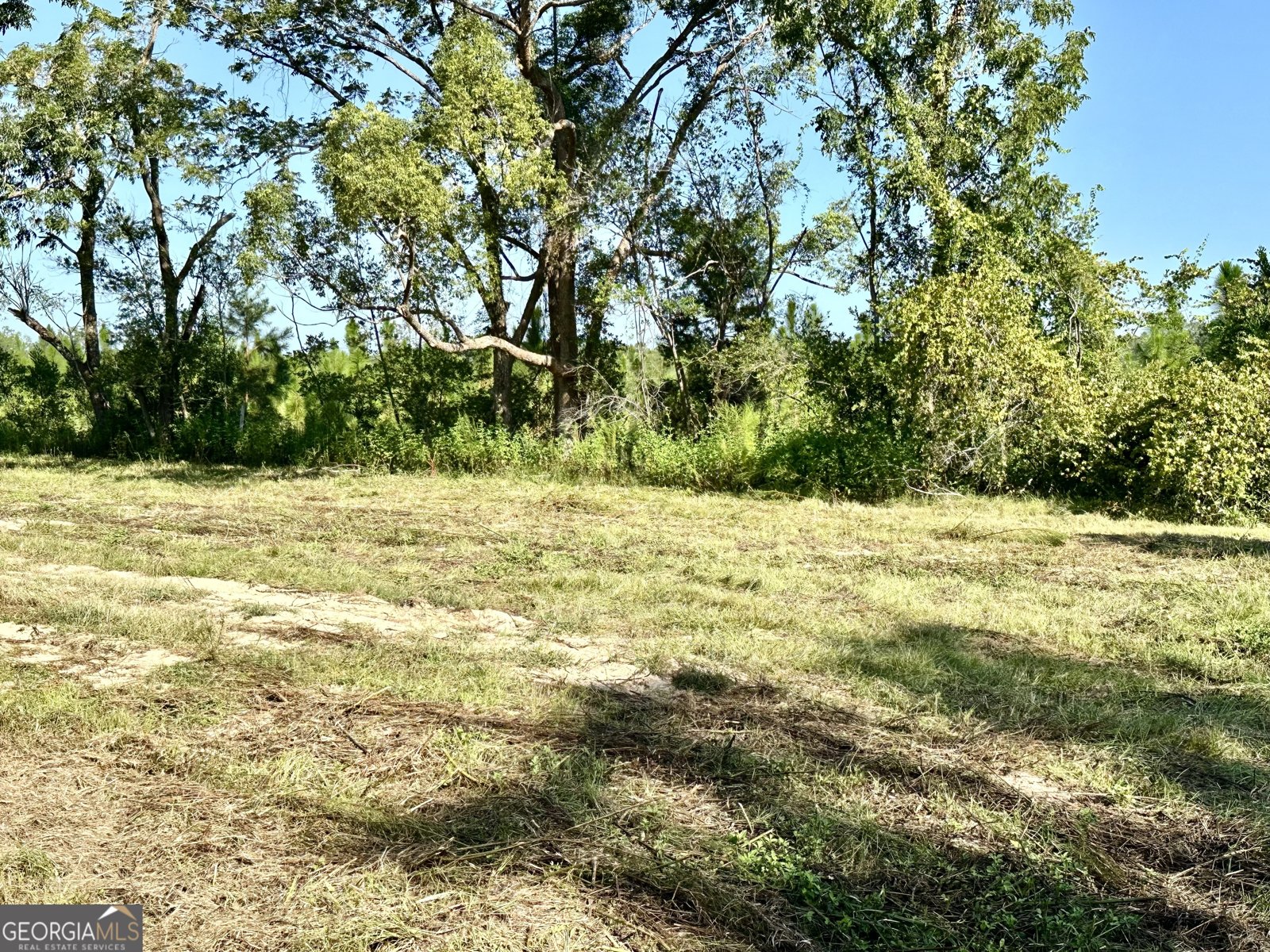 3344 Strickland Avenue Extension Blackshear - 10