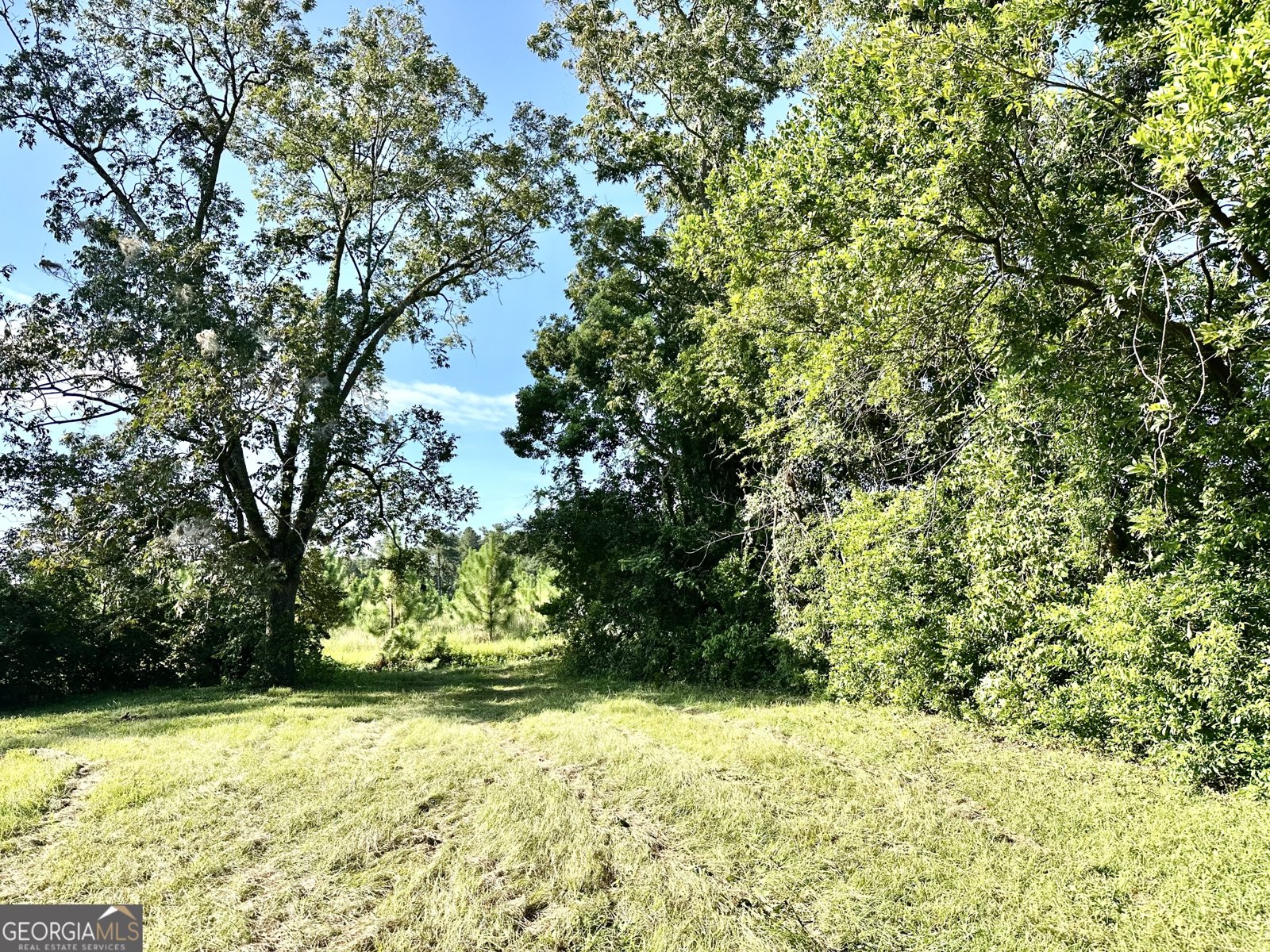 3344 Strickland Avenue Extension Blackshear - 12