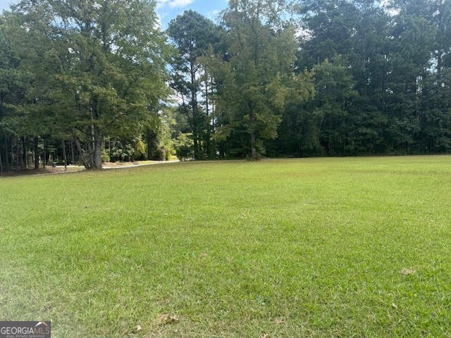 290 New Hope Road McDonough - 4