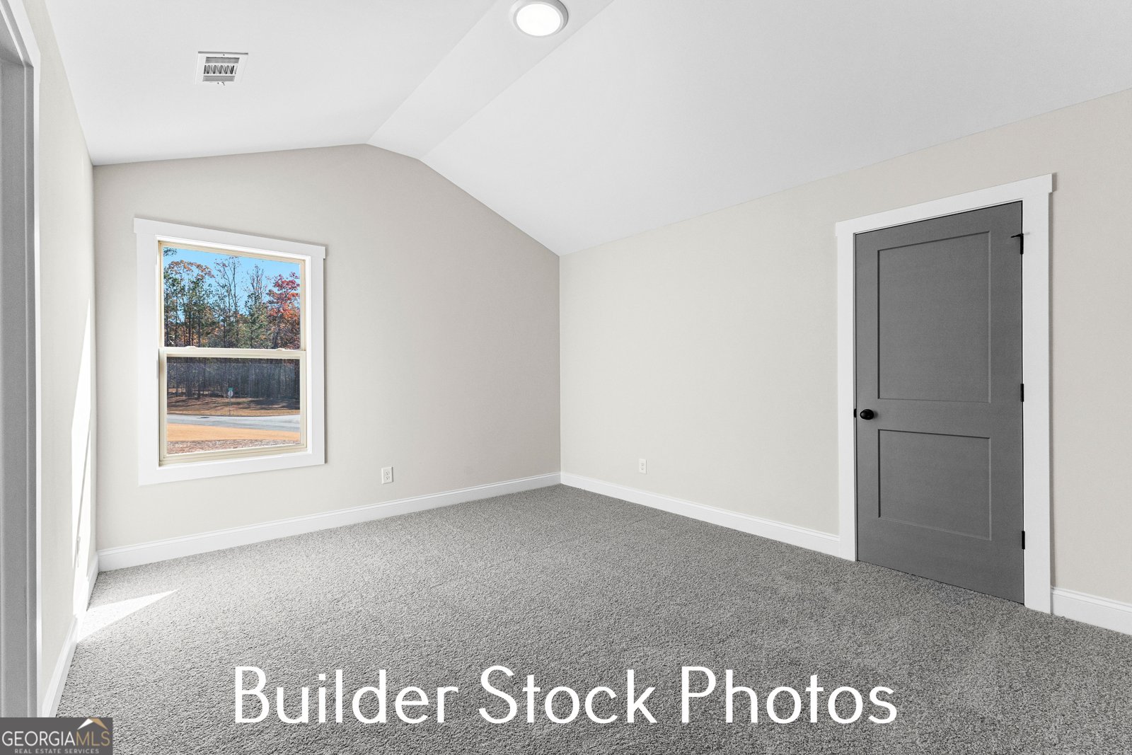 LOT 14 GA Hwy 362 Williamson - 50