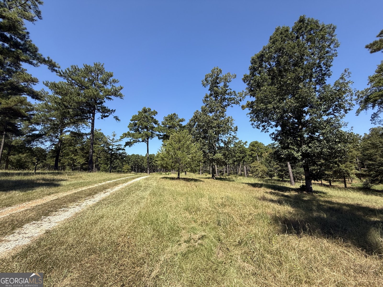 849 Orchard Road Pine Mountain Valley - 36