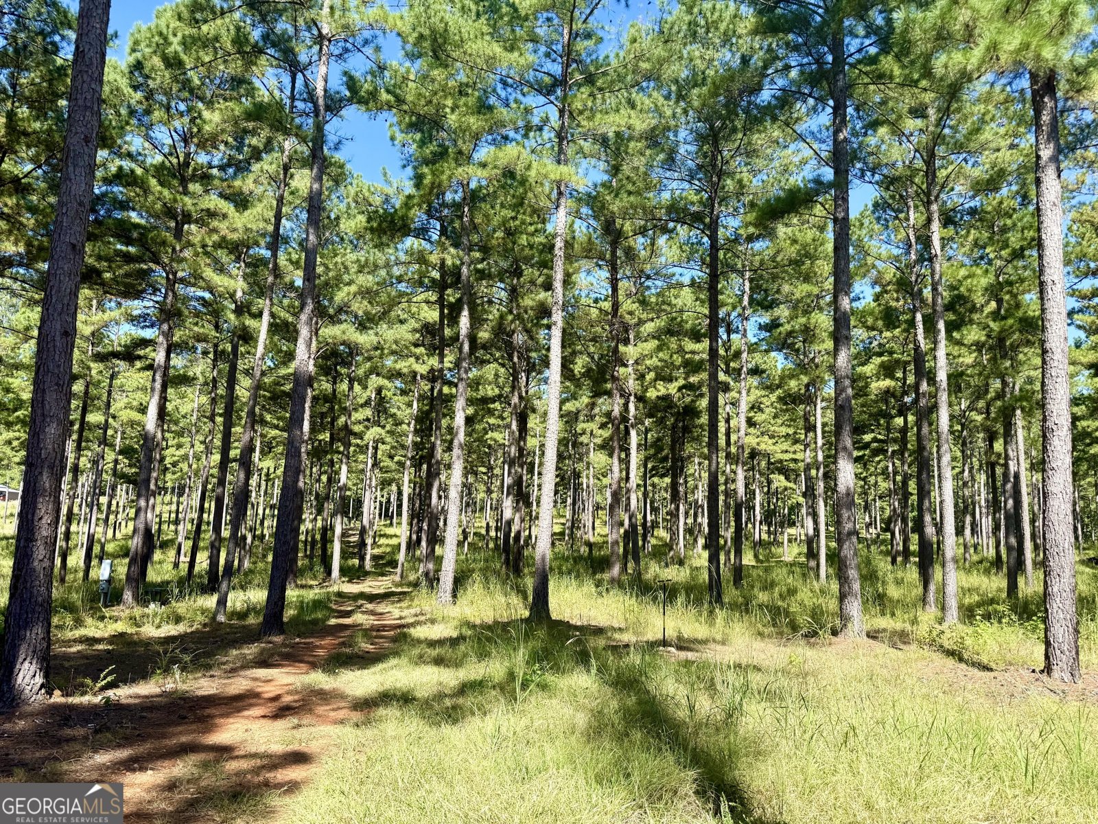 849 Orchard Road Pine Mountain Valley - 37