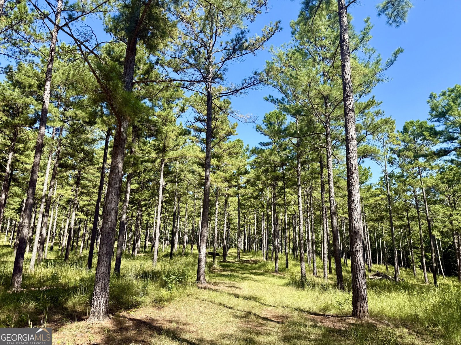 849 Orchard Road Pine Mountain Valley - 38