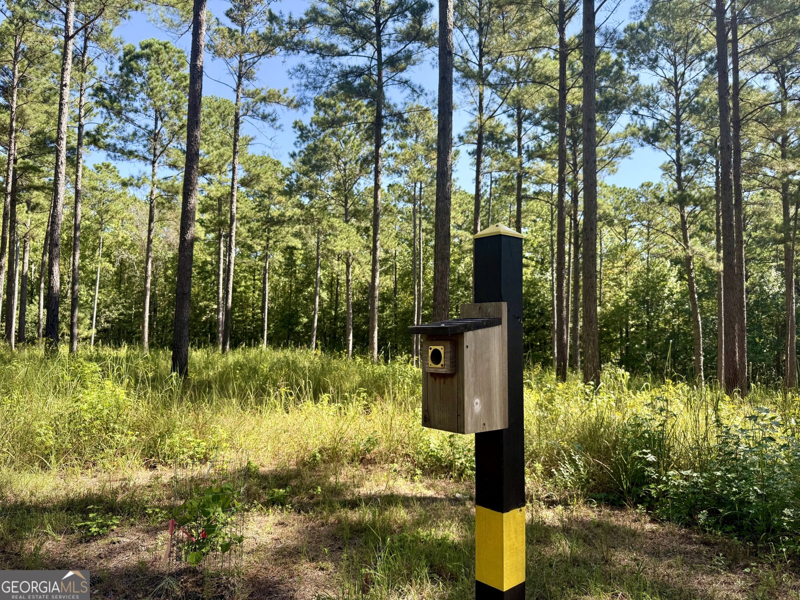 849 Orchard Road Pine Mountain Valley - 40