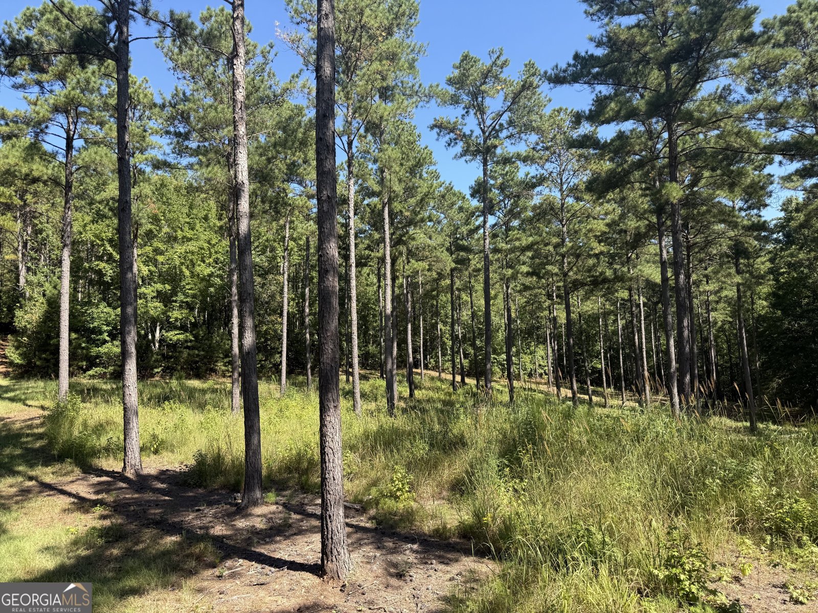 849 Orchard Road Pine Mountain Valley - 43